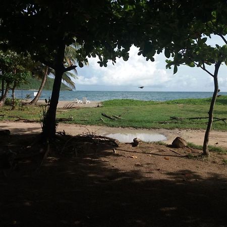 The Reef Beach Huts Hotel Vieux Fort Saint Lucia Esterno foto